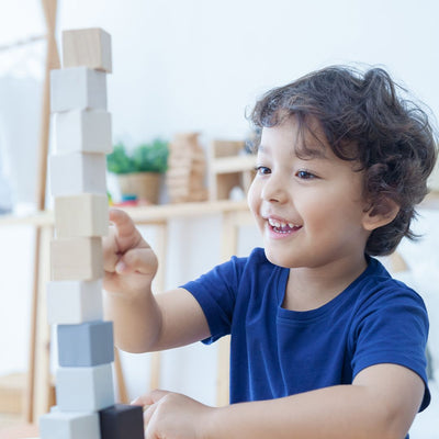 Plan Toys Cubes