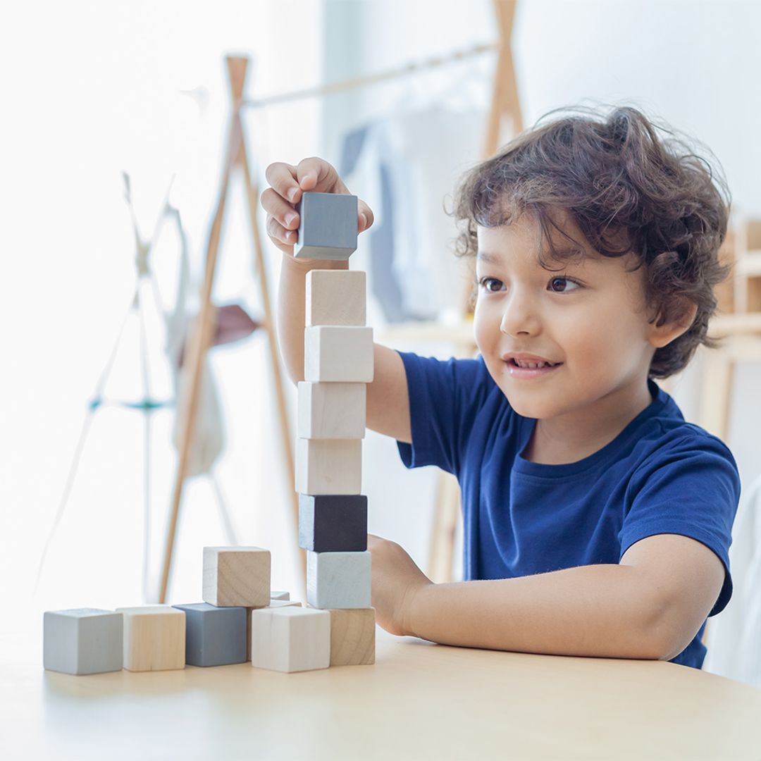 Plan Toys Cubes