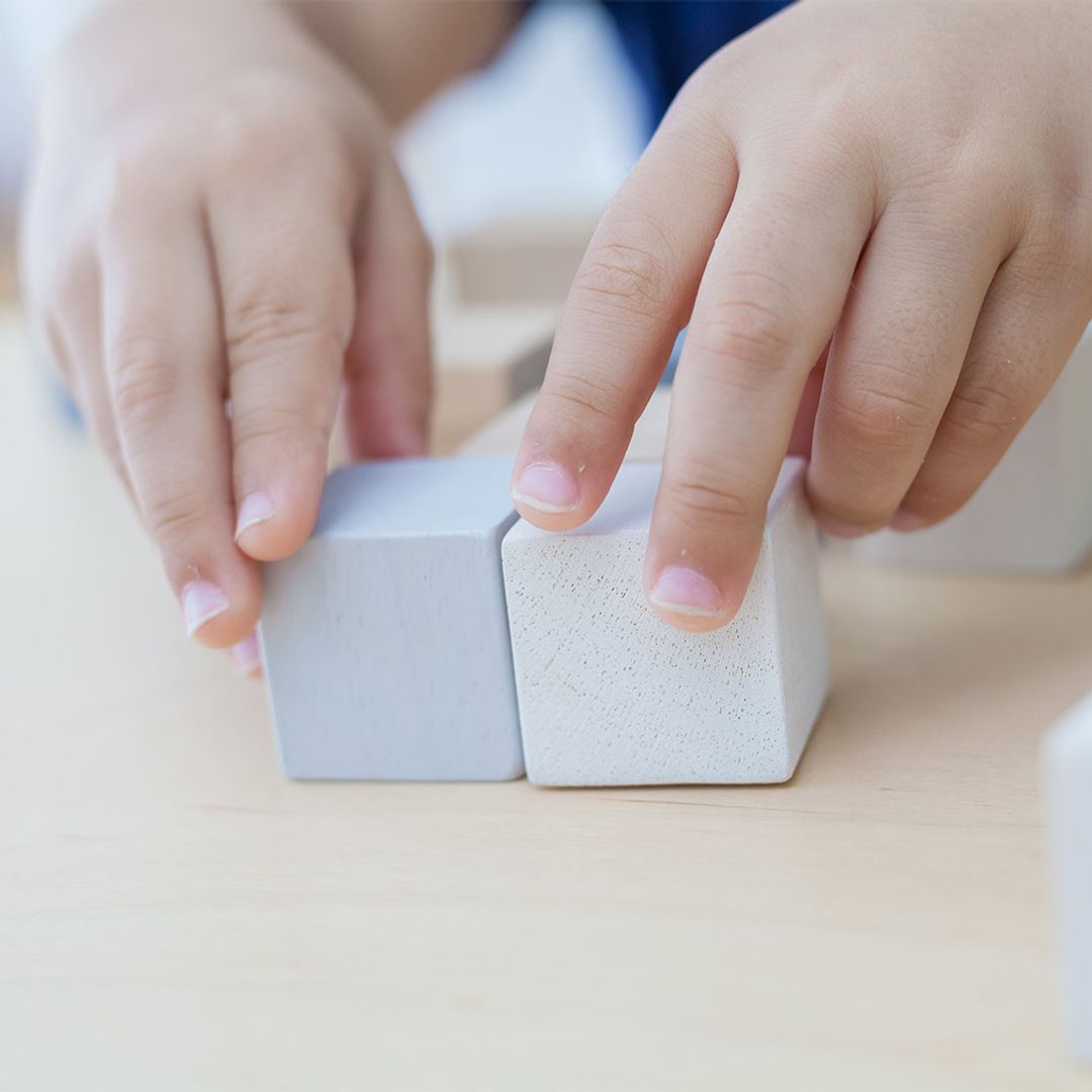 Plan Toys Cubes