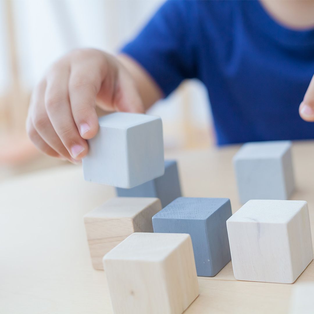 Plan Toys Cubes