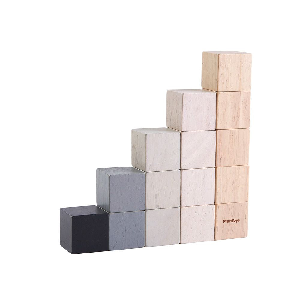 Plan Toys Cubes