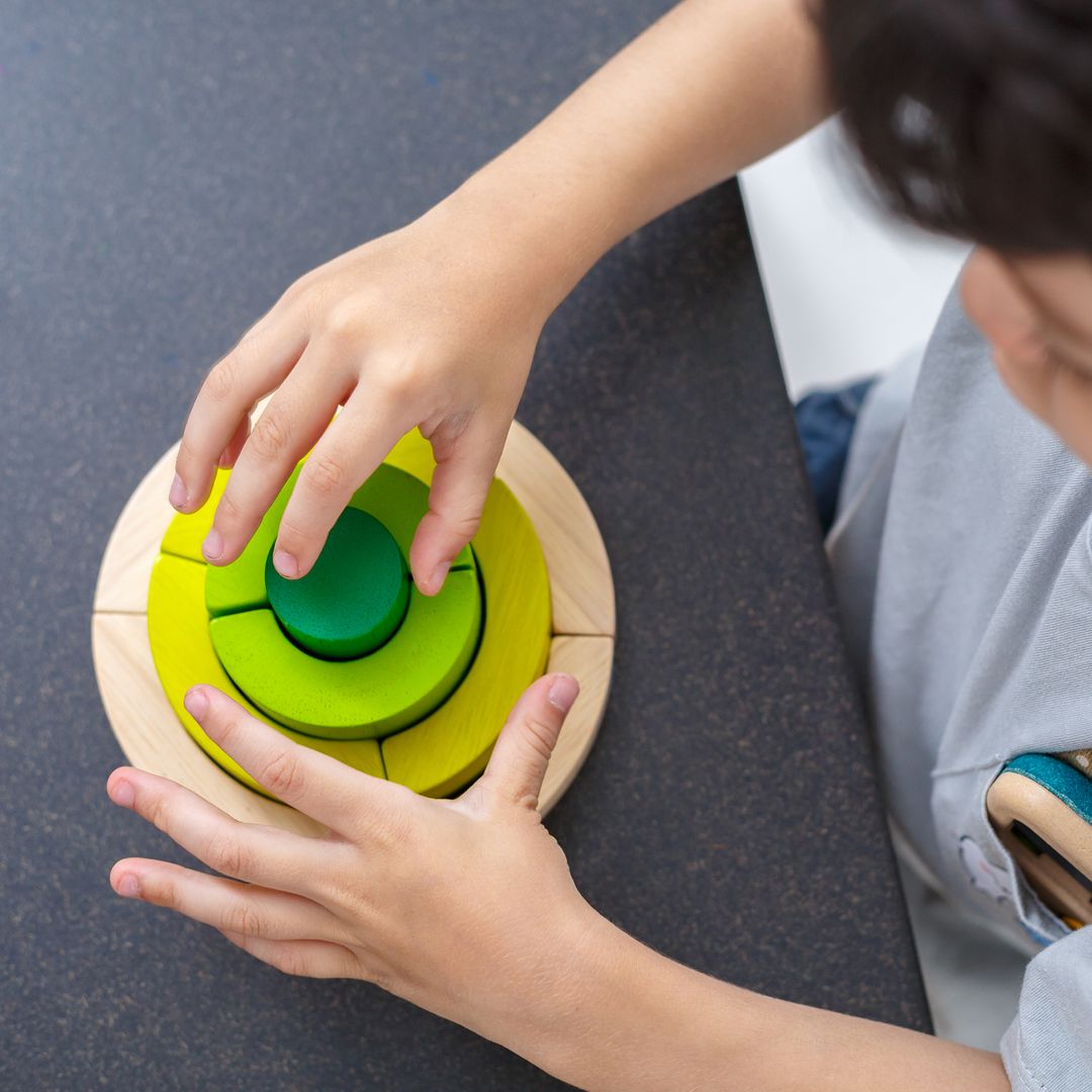 Plan Toys Curve Blocks