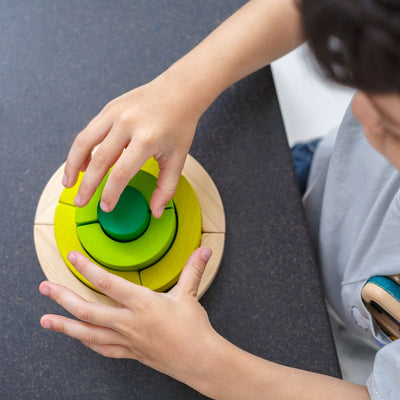 Plan Toys Curve Blocks