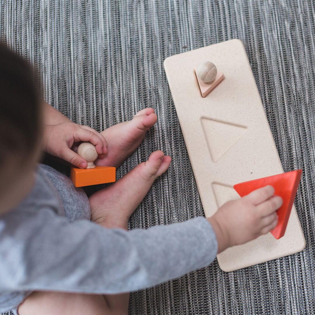 Plan Toys Triangle Matching Puzzle