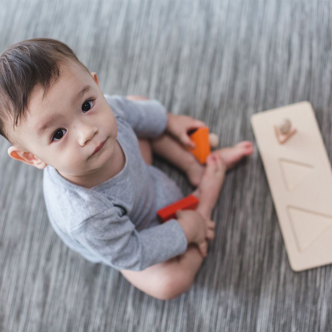 Plan Toys Triangle Matching Puzzle