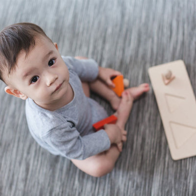Plan Toys Triangle Matching Puzzle