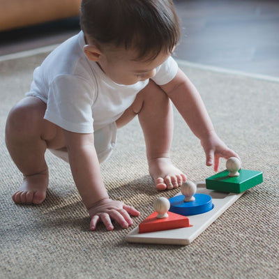 Plan Toys Shape Matching Puzzle