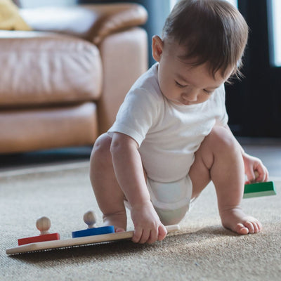 Plan Toys Shape Matching Puzzle