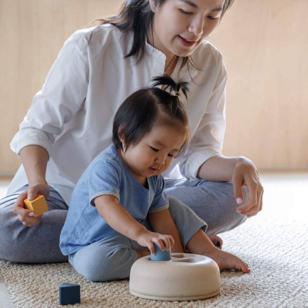 Plan Toys Geometric Sorting