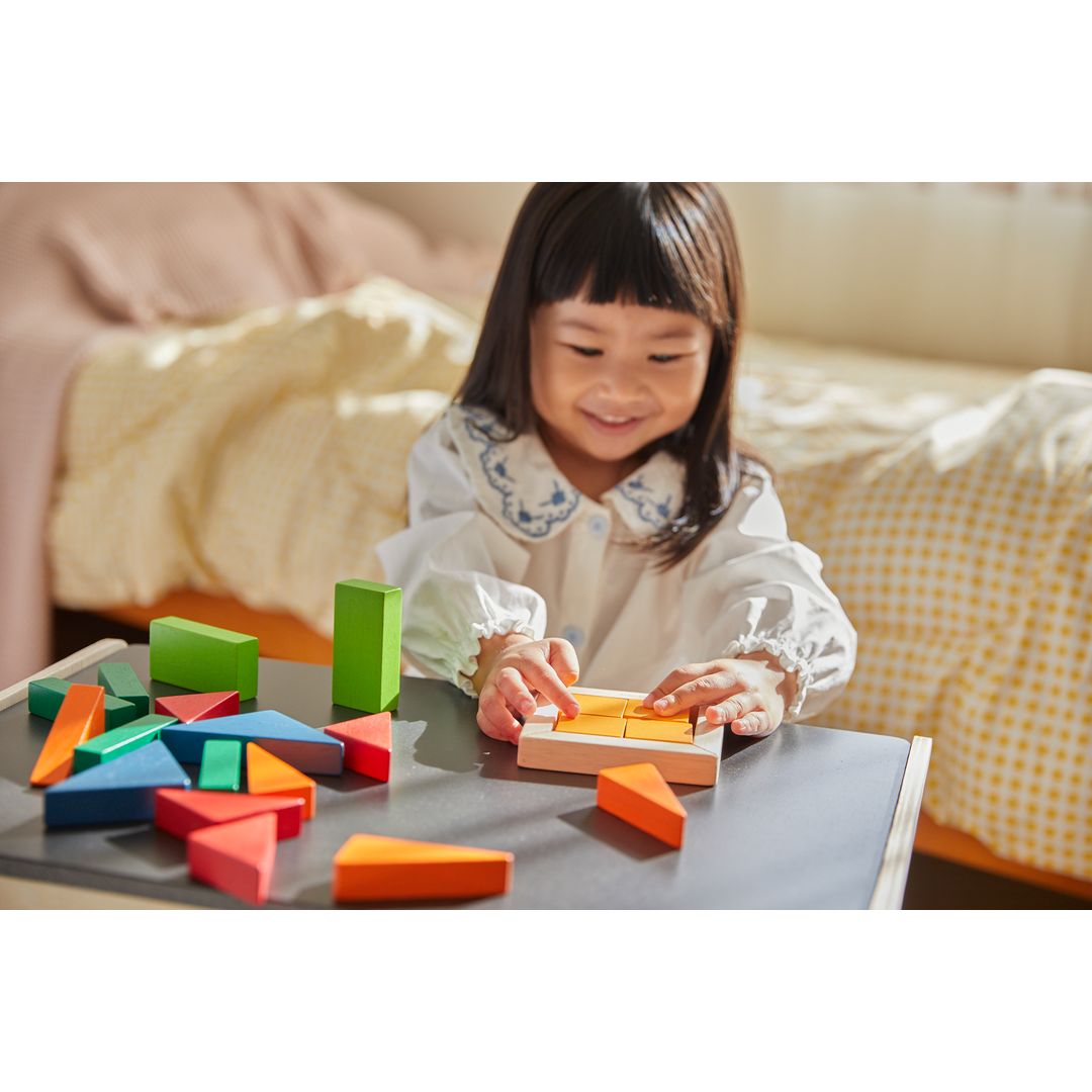 Plan Toys Fraction Blocks - Unit Plus