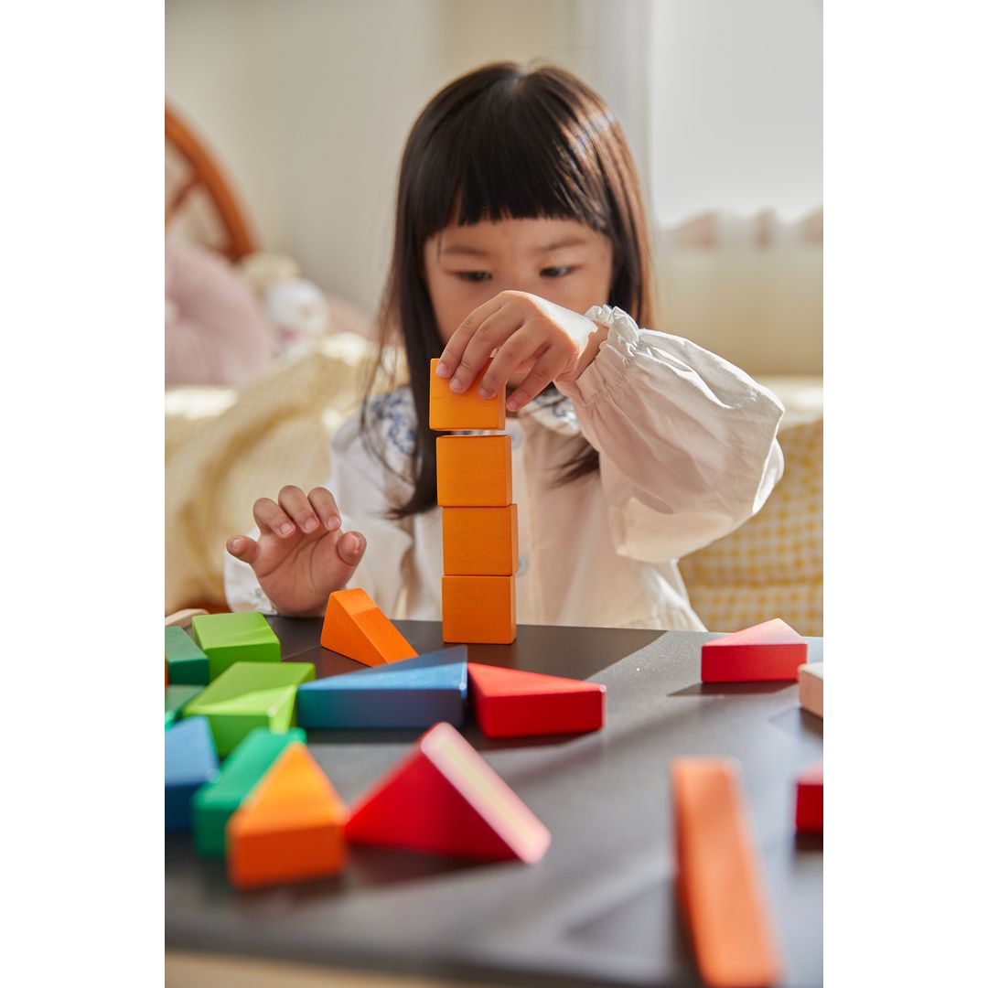 Plan Toys Fraction Blocks - Unit Plus
