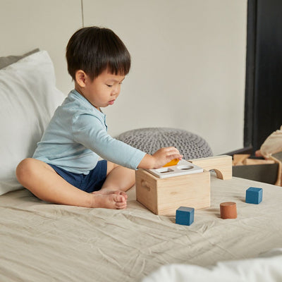 Plan Toys Shape & Sort It Out - Orchard