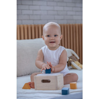 Plan Toys Shape & Sort It Out - Orchard