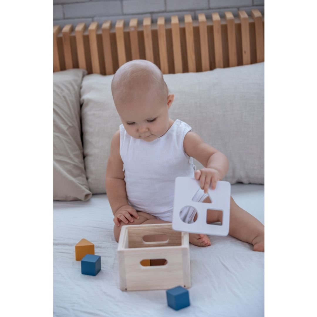 Plan Toys Shape & Sort It Out - Orchard