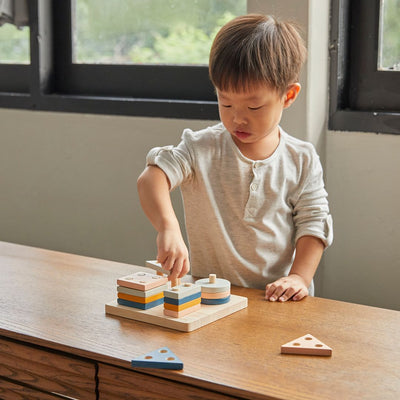 Plan Toys Geometric Sorting Board - Orchard