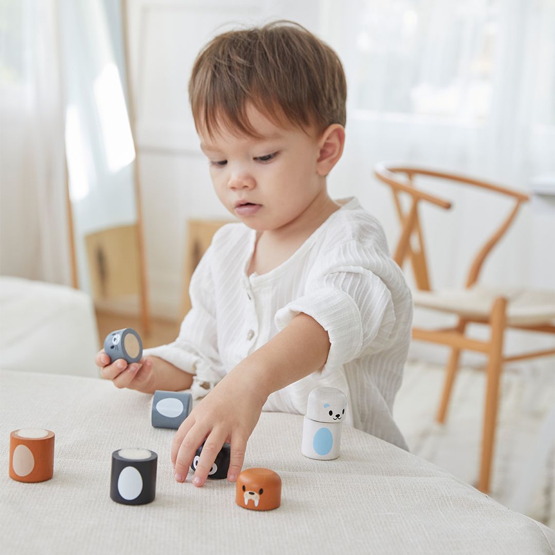 Plan Toys Arctic Animal Matching