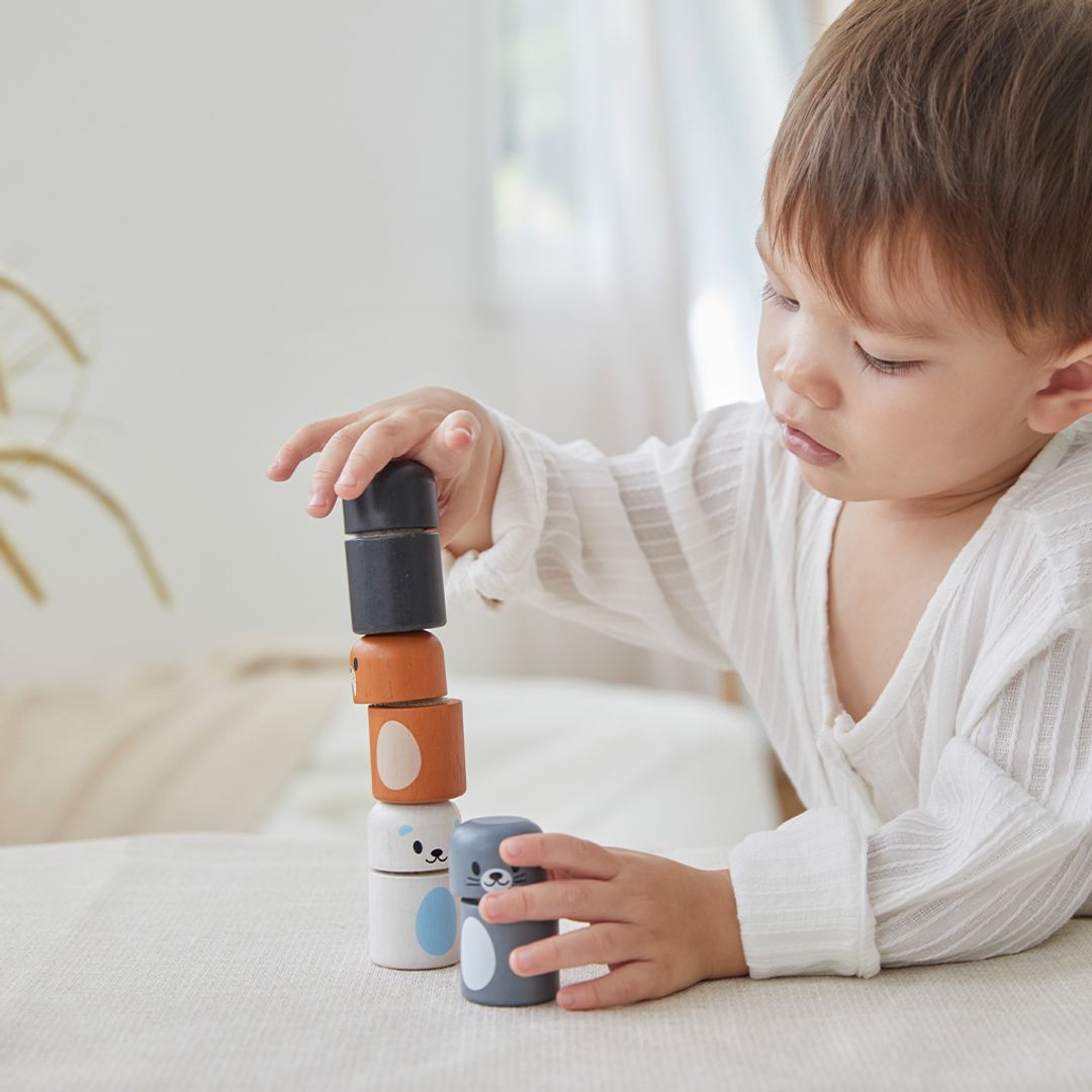 Plan Toys Arctic Animal Matching