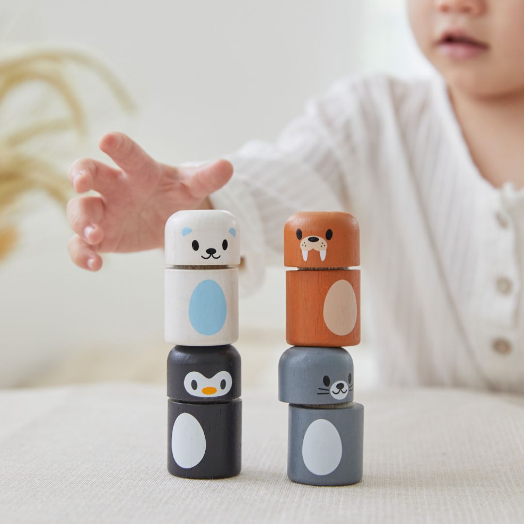 Plan Toys Arctic Animal Matching