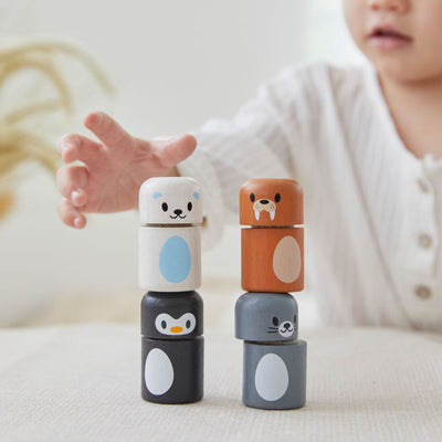 Plan Toys Arctic Animal Matching