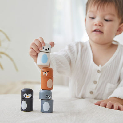 Plan Toys Arctic Animal Matching