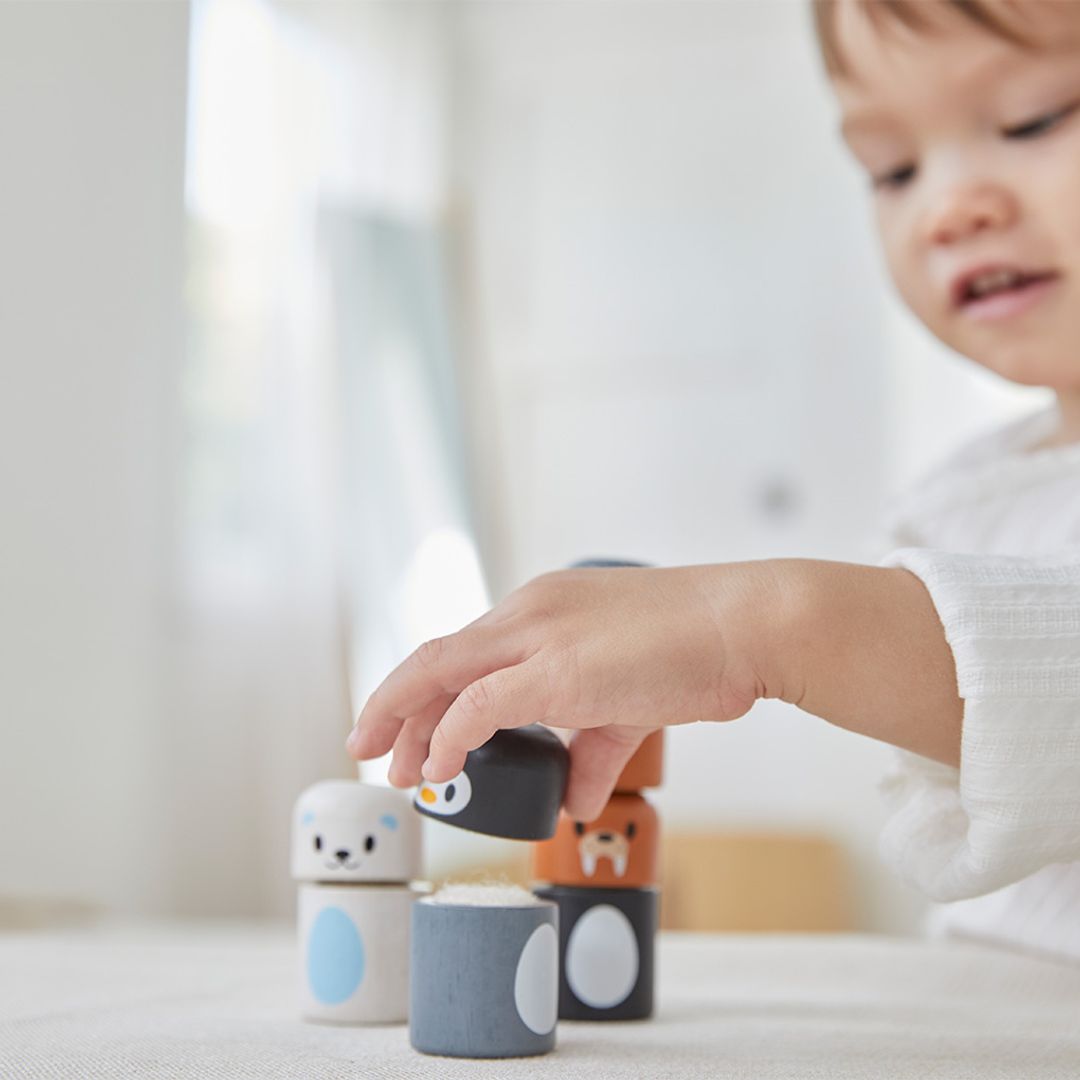 Plan Toys Arctic Animal Matching