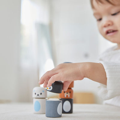 Plan Toys Arctic Animal Matching