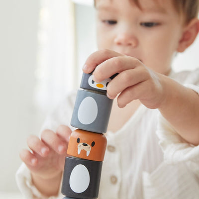 Plan Toys Arctic Animal Matching