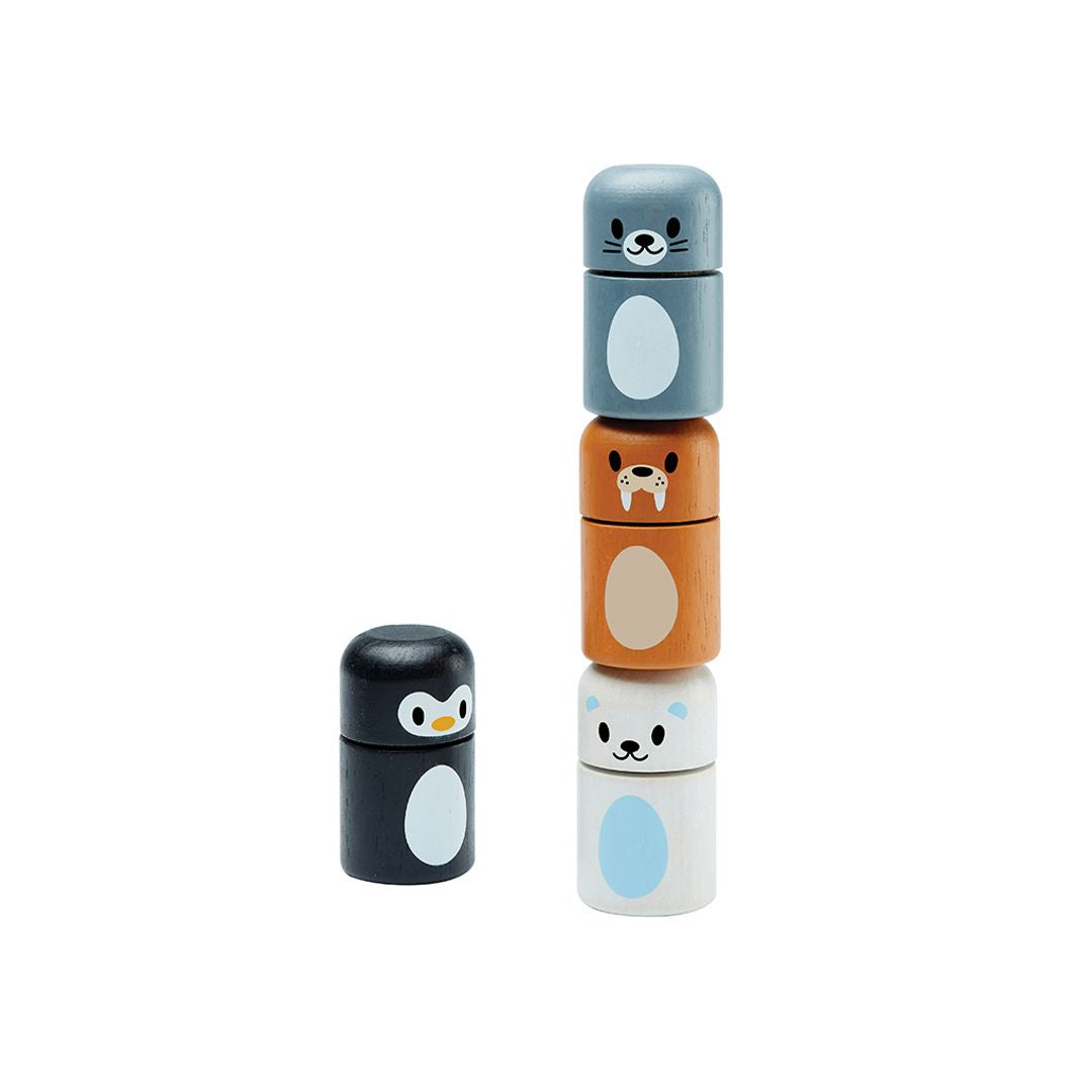 Plan Toys Arctic Animal Matching