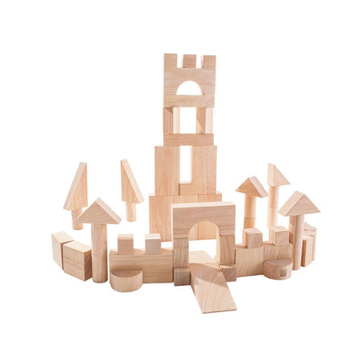 Plan Toys 50 Unit Blocks