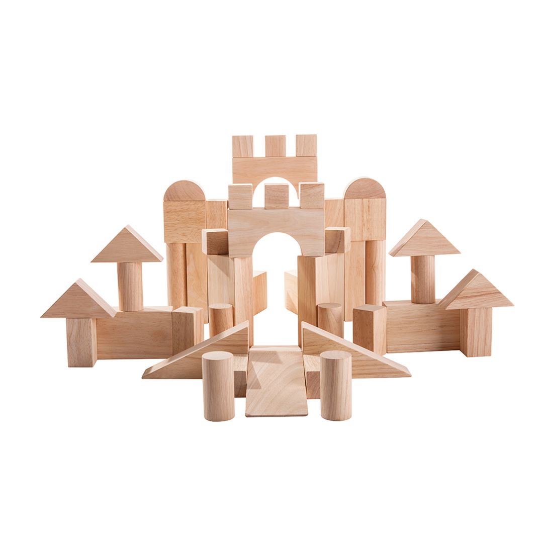 Plan Toys 50 Unit Blocks