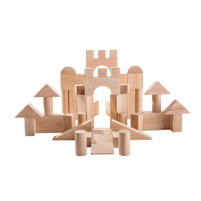 Plan Toys 50 Unit Blocks