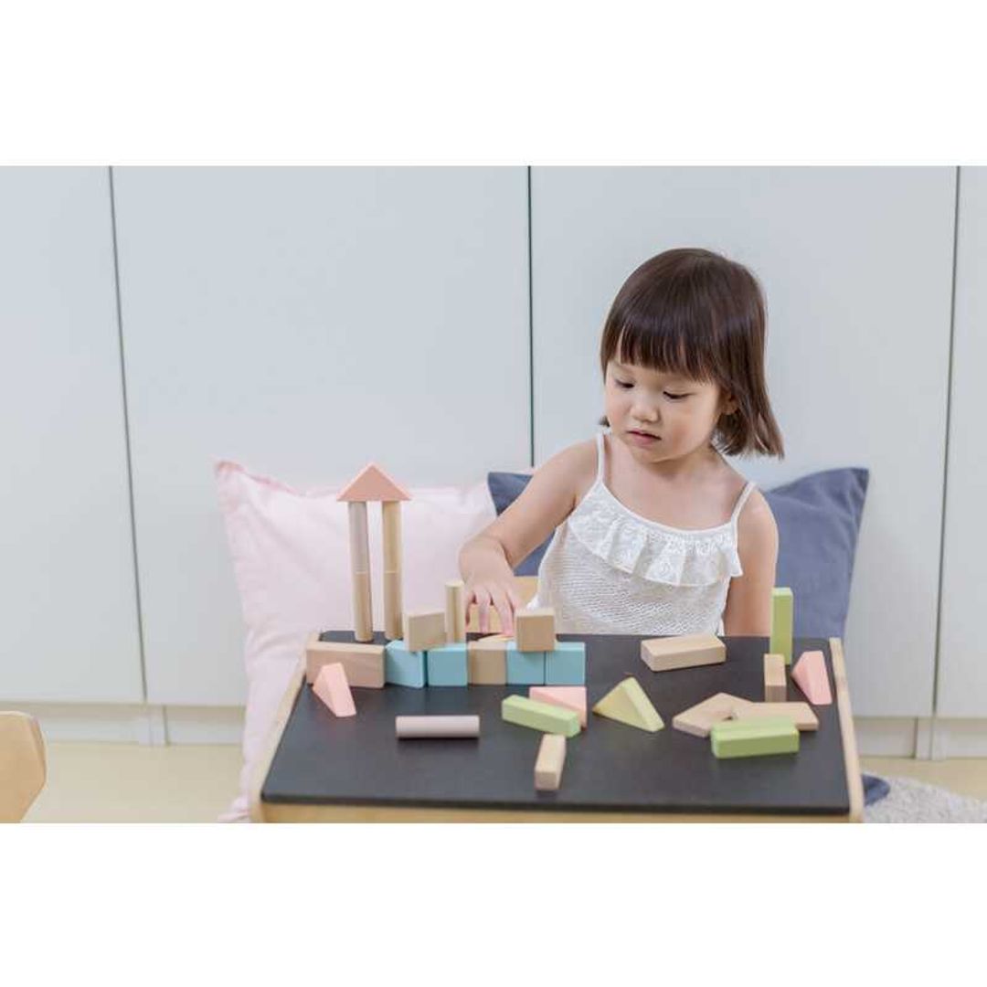 Plan Toys 40 Unit Blocks