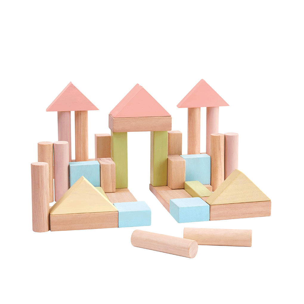 Plan Toys 40 Unit Blocks