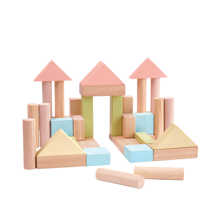 Plan Toys 40 Unit Blocks