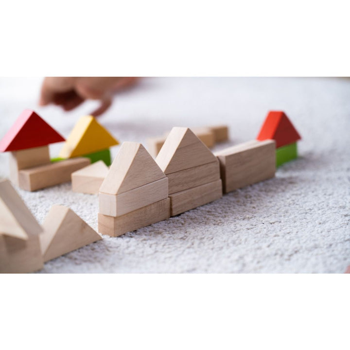 Plan Toys 40 Unit Blocks