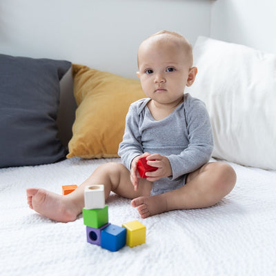 Plan Toys Activity Blocks