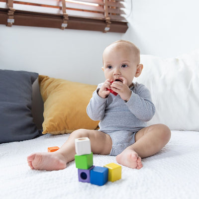 Plan Toys Activity Blocks