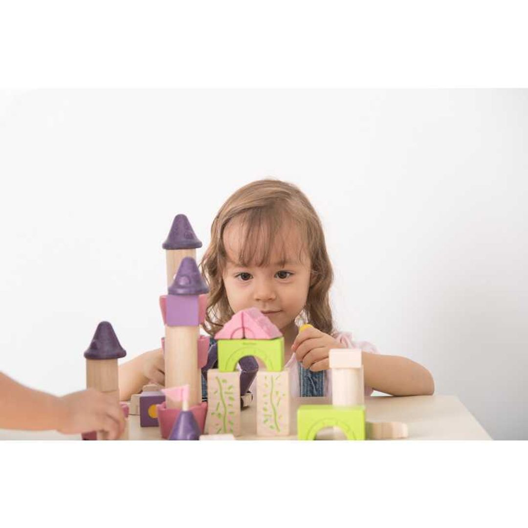 Plan Toys Fairy Tale Blocks