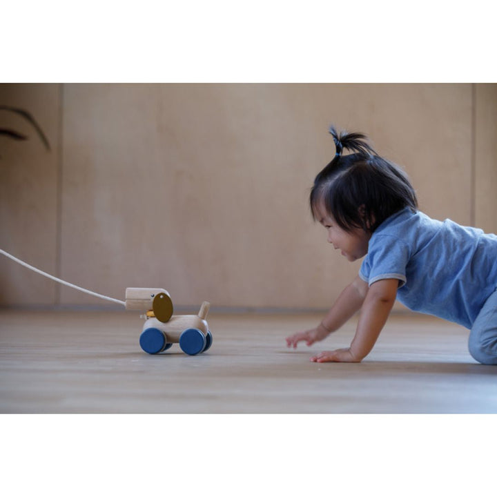 Plan Toys Push &amp; Pull Puppy