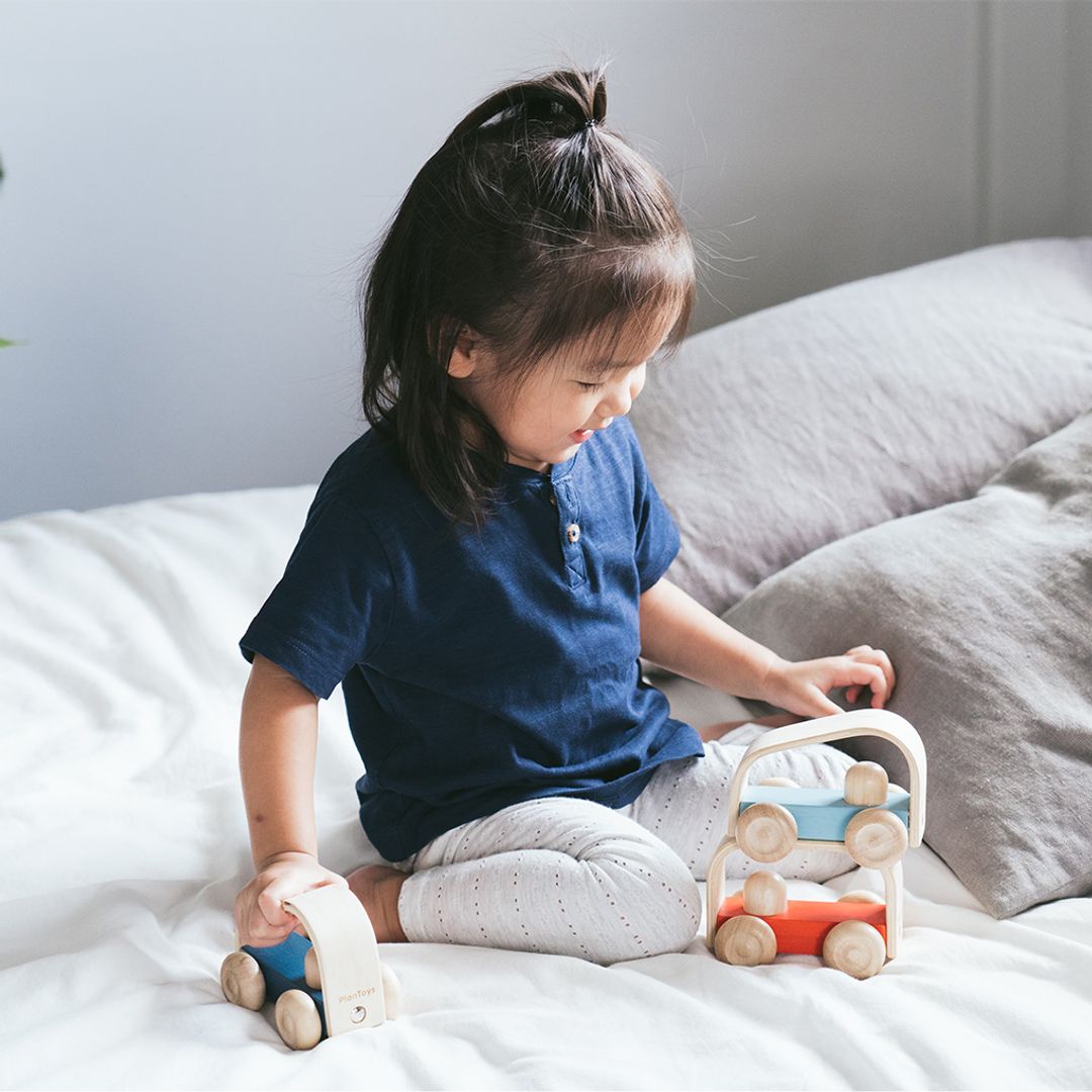 Plan Toys Vroom Truck
