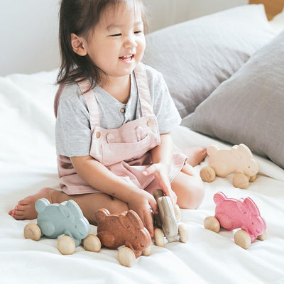 Plan Toys Push Along Bunny - Pink
