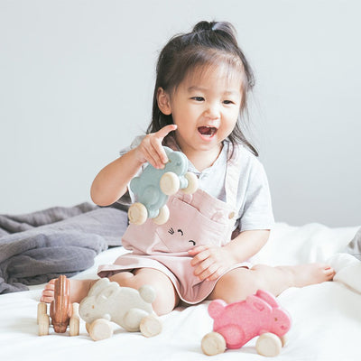 Plan Toys Push Along Bunny - Pink