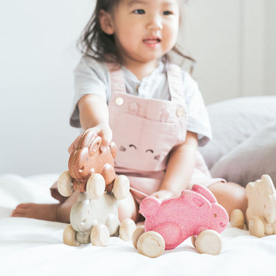 Plan Toys Push Along Bunny - Pink