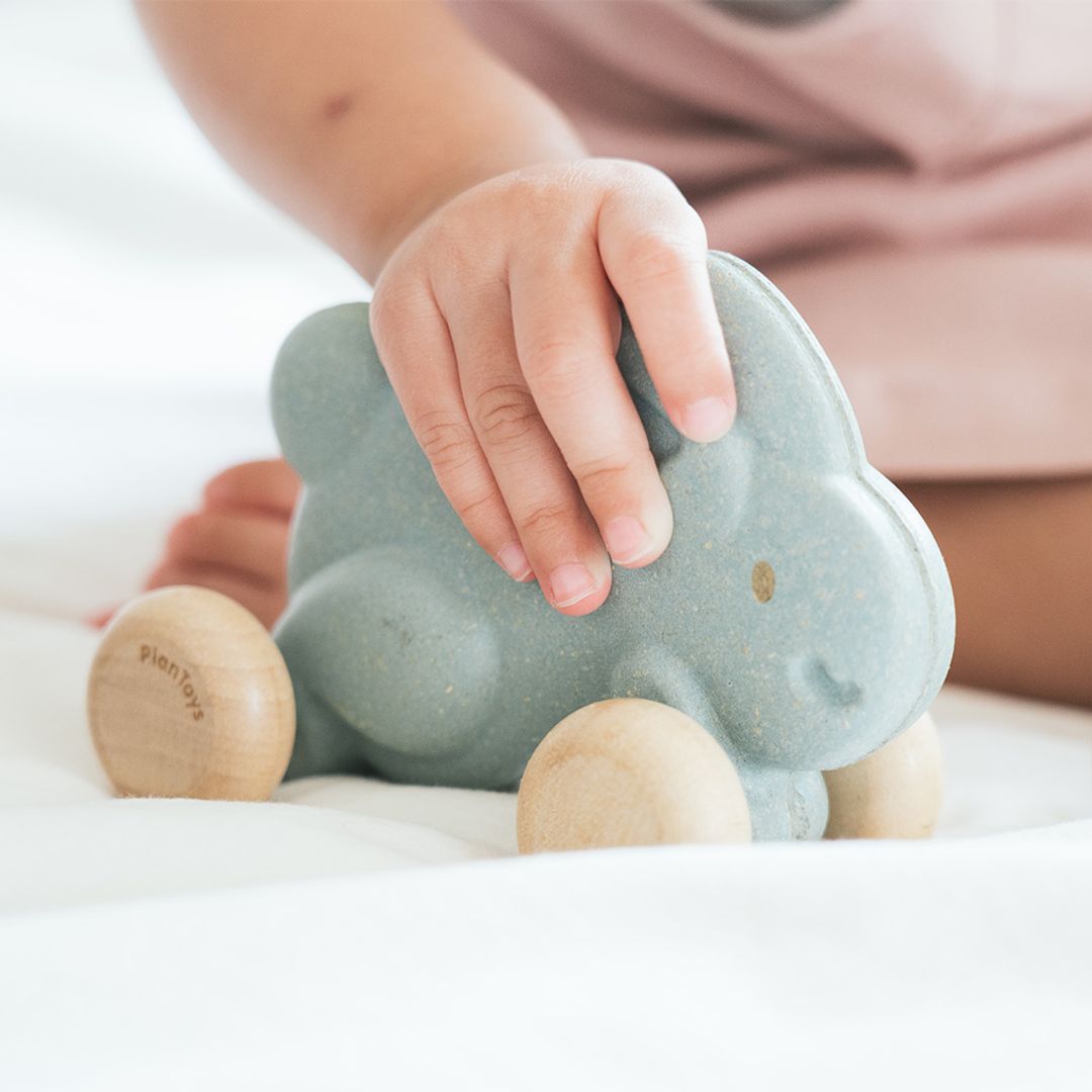 Plan Toys Push Along Bunny - Blue