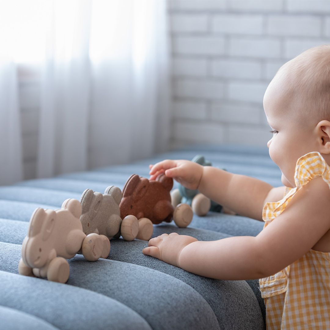 Plan Toys Push Along Bunny - Brown