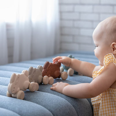 Plan Toys Push Along Bunny - Brown