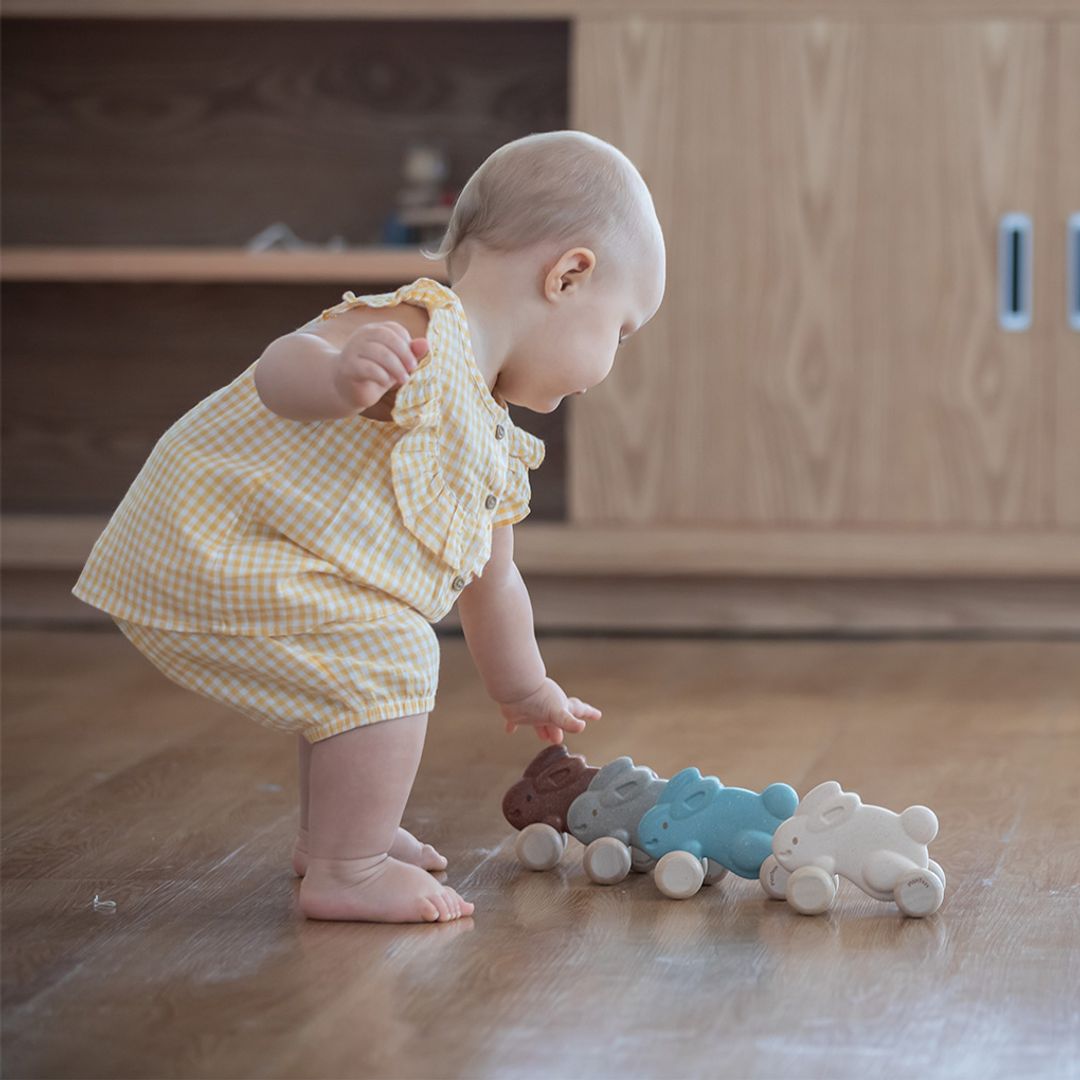Plan Toys Push Along Bunny - Brown