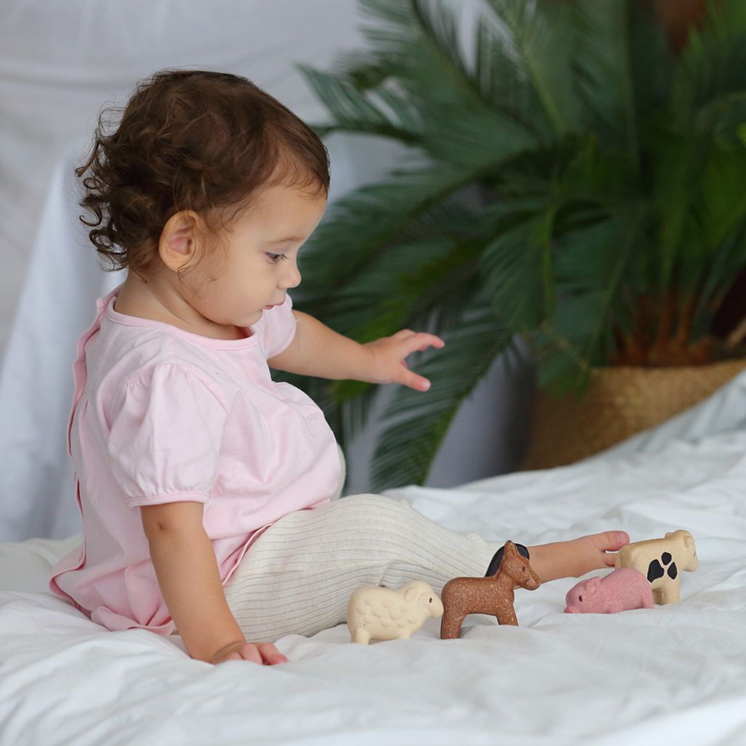 Plan Toys Farm Animals Set