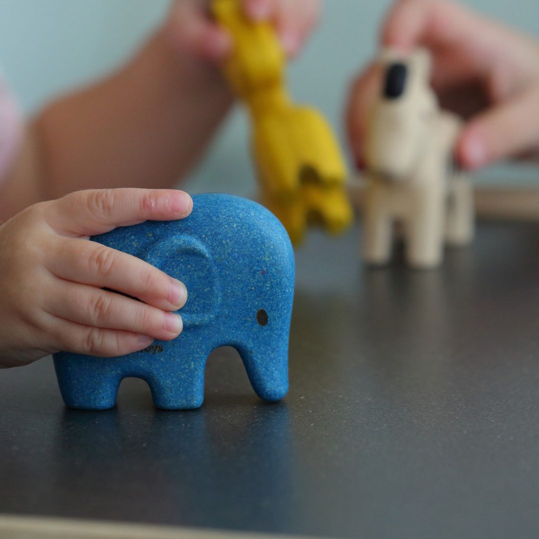 Plan Toys Wild Animals Set