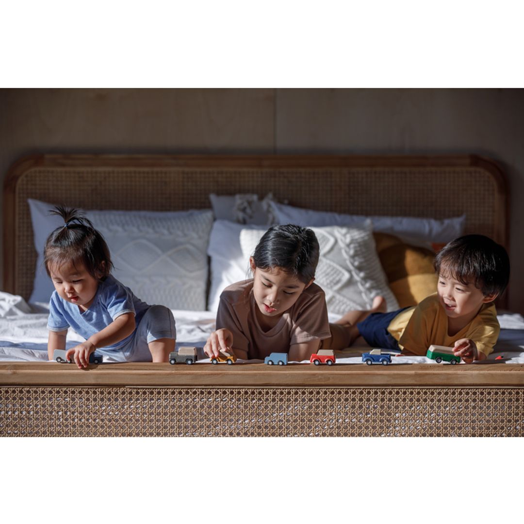 Plan Toys Planworld Car Set